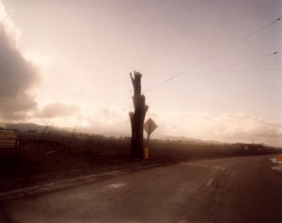 toddhidosign3.jpg