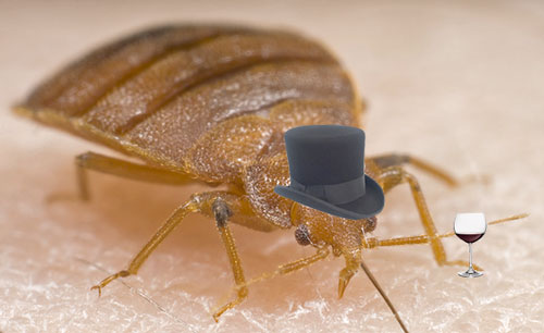 MetOperaBedBug.jpg